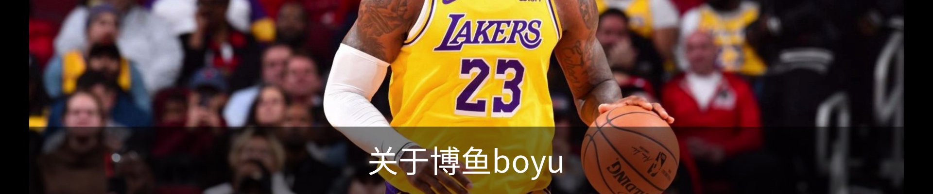 关于博鱼boyu